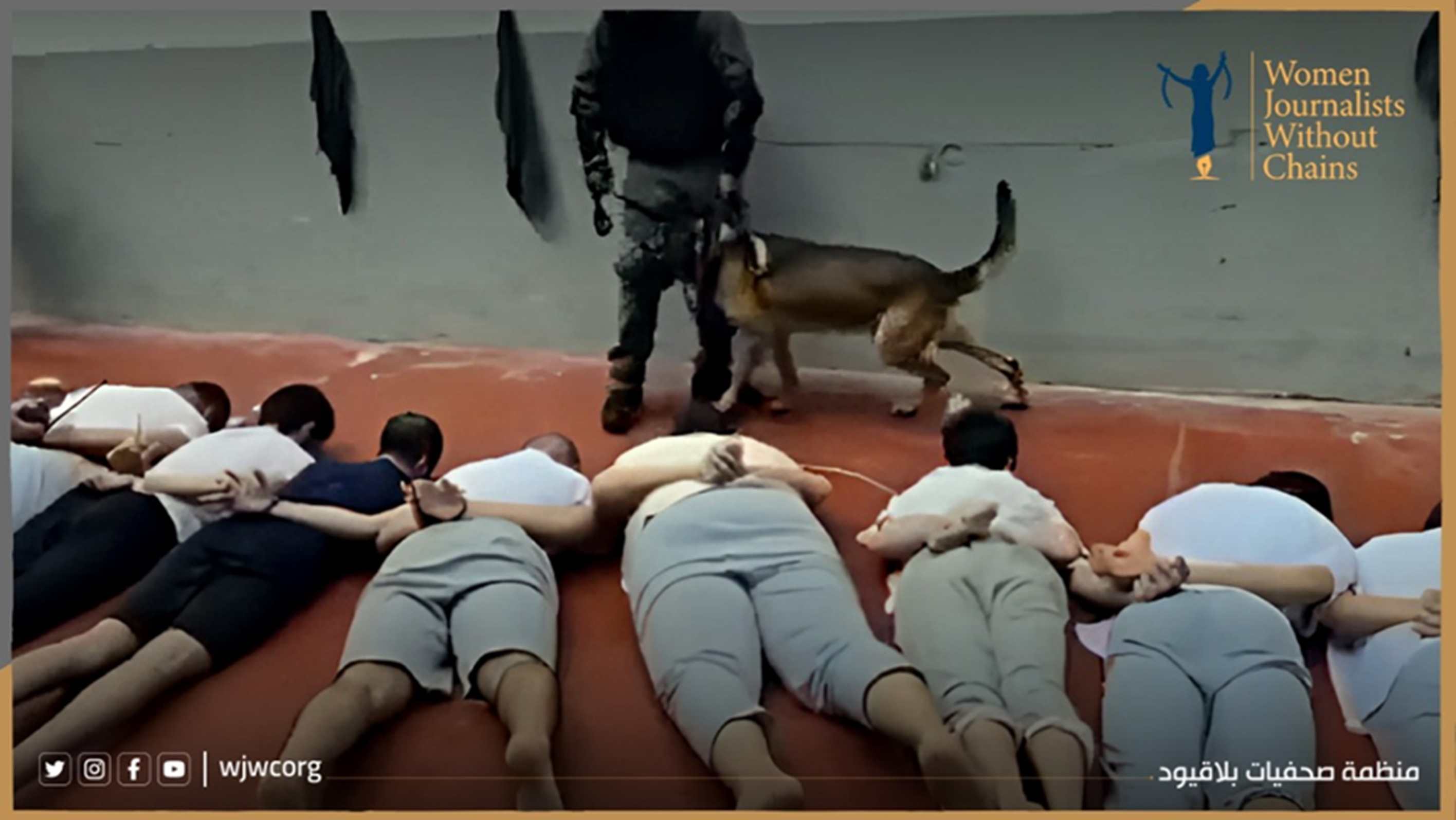 Echoes Behind Concrete Walls: Torture, Death, and the Machinery of Occupation